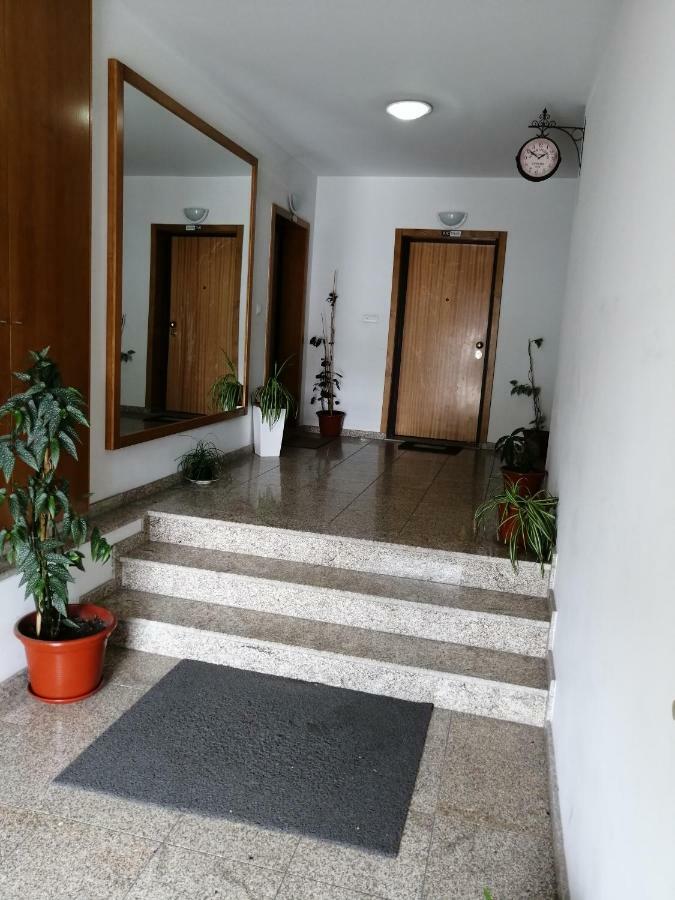 Congidouro Apartment Freixo de Espada a Cinta Exterior photo